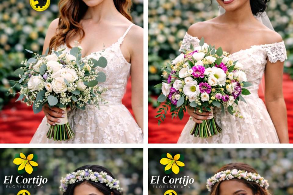 Novias