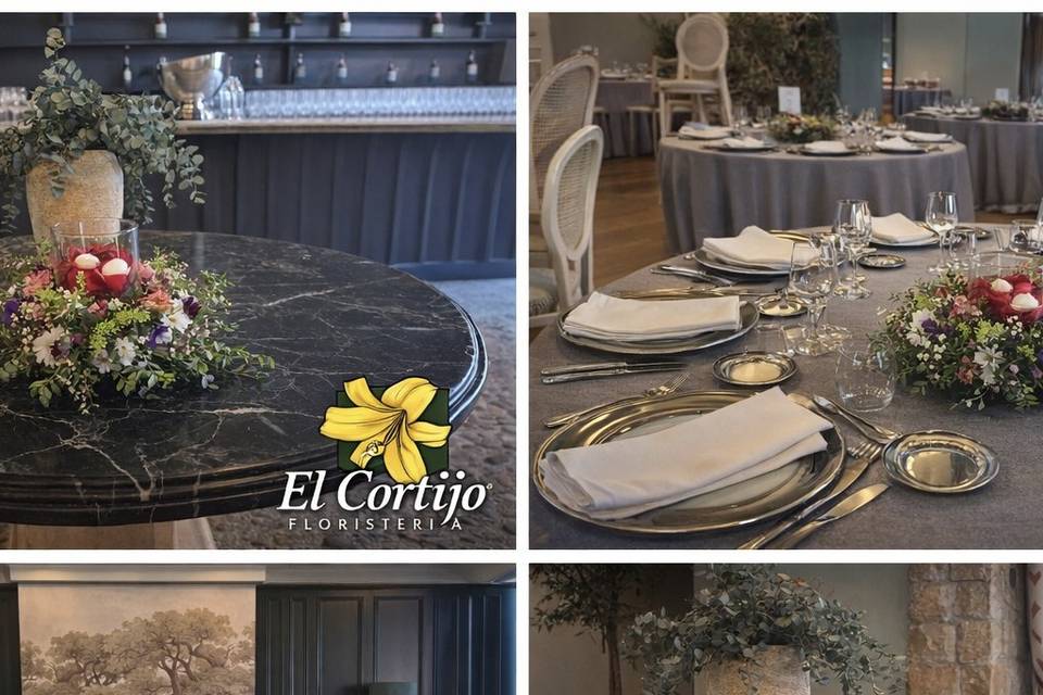 Gala Eventos