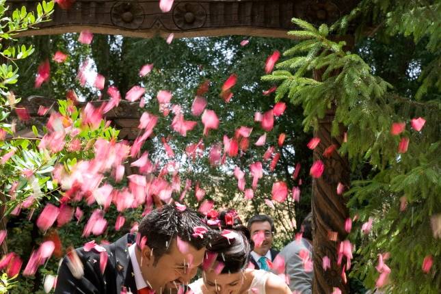 Boda en Spa Los Anades