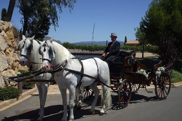 Carruatges de Cavalls Monistrol