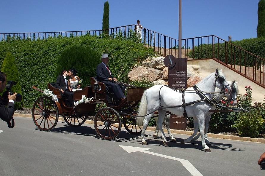 Carruatges de Cavalls Monistrol