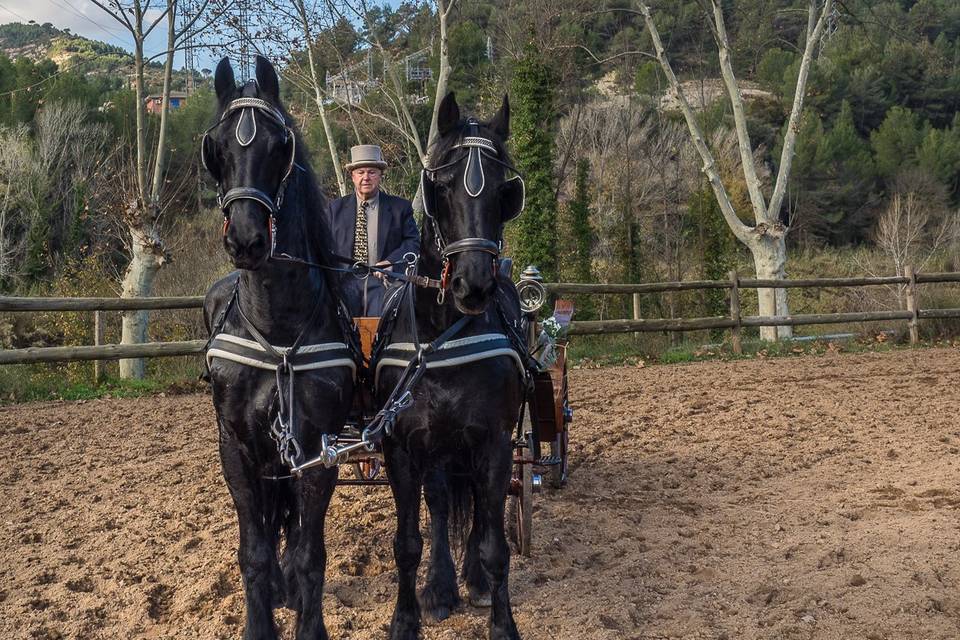 Carruatges de Cavalls Monistrol