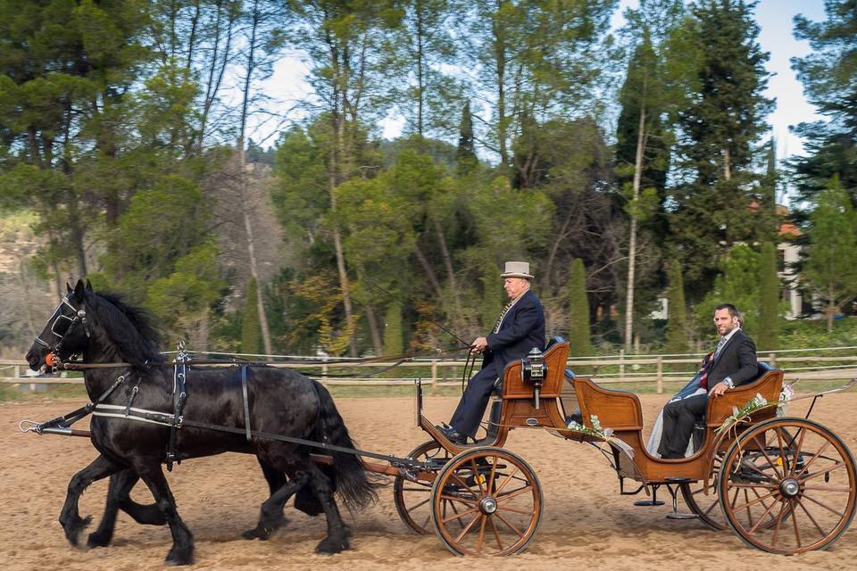 Carruatges de Cavalls Monistrol