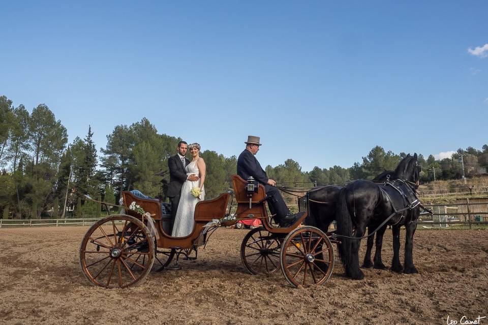 Carruatges de Cavalls Monistrol