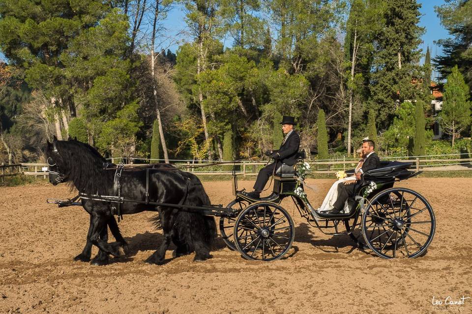 Carruatges de Cavalls Monistrol