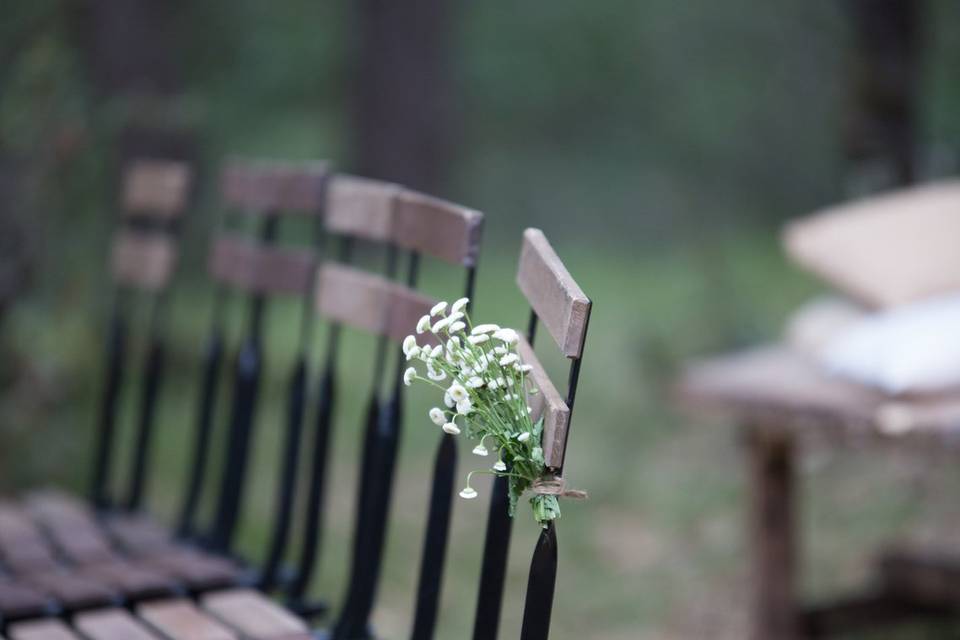 Novios en el bosque