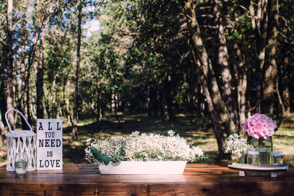 Ceremonia civil en el bosque