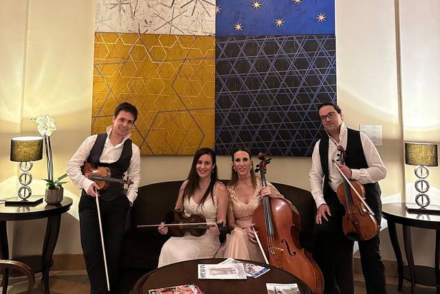 String Strad Westin