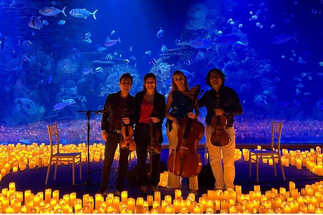 String Strad Oceanográfico