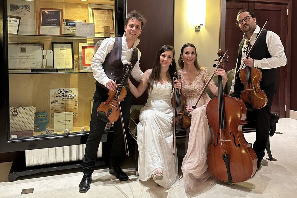 String Strad Westin