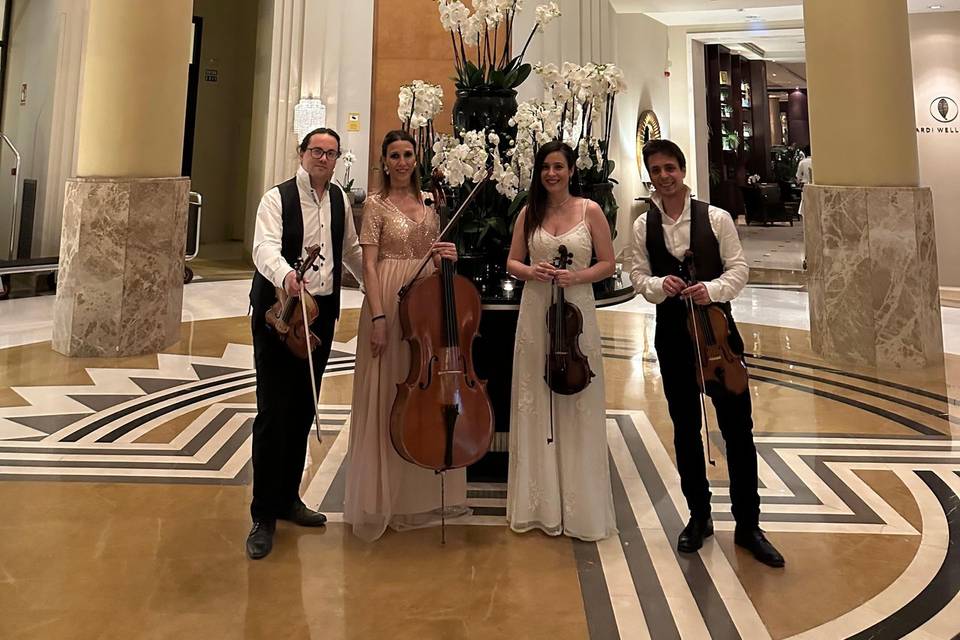 String Strad Westin