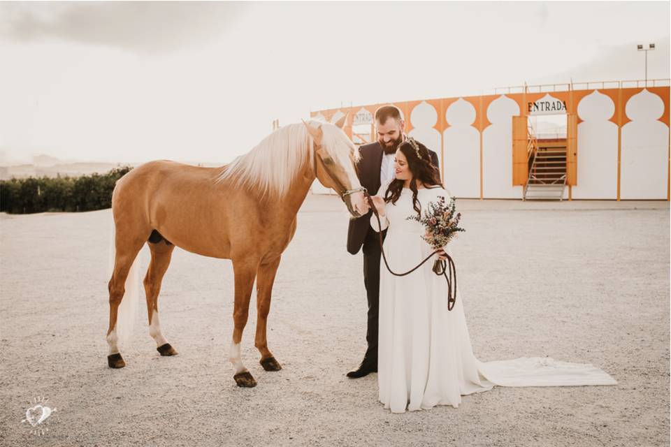 Novia con caballo pura raza