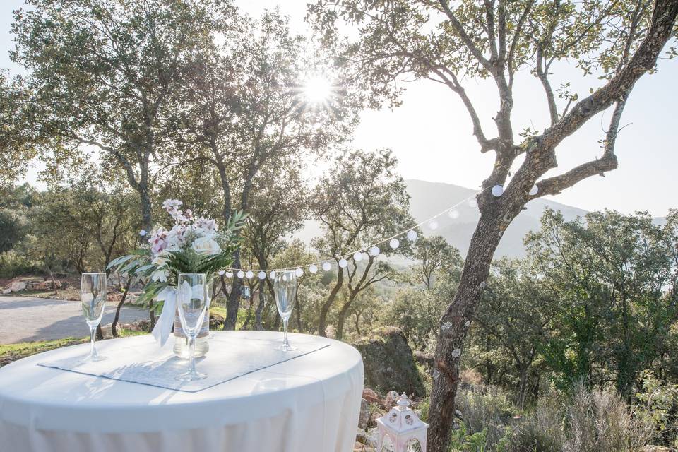 Banquete en el exterior