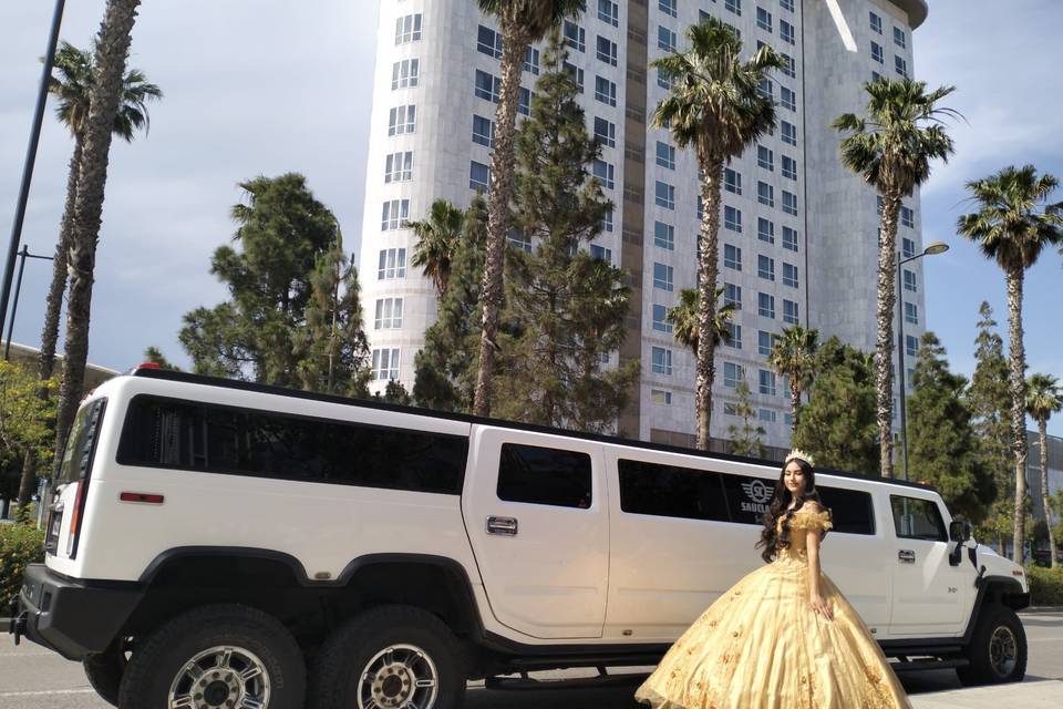 Dulcinea Hummer H2O