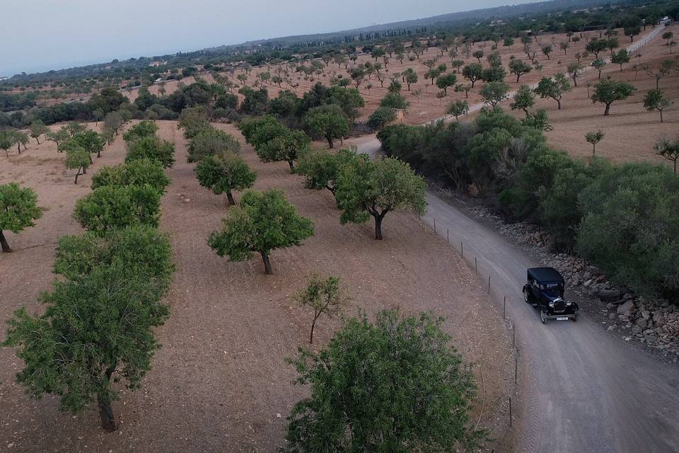 Mallorca Drones