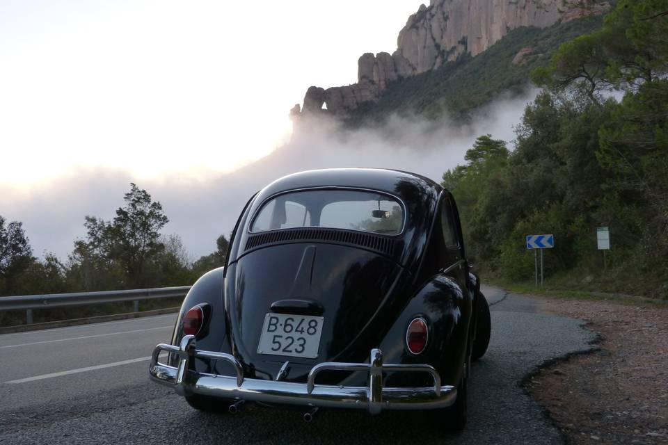 Classic Car Trip