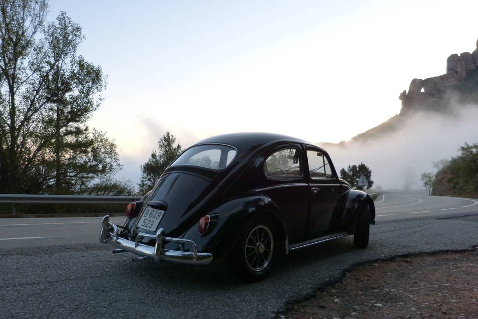 Classic Car Trip