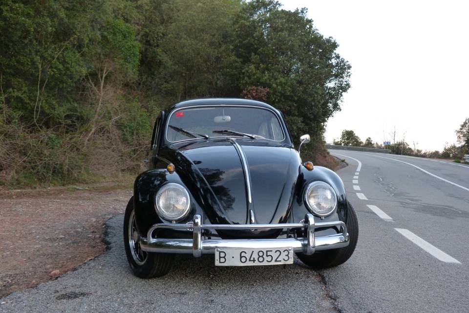 Classic Car Trip