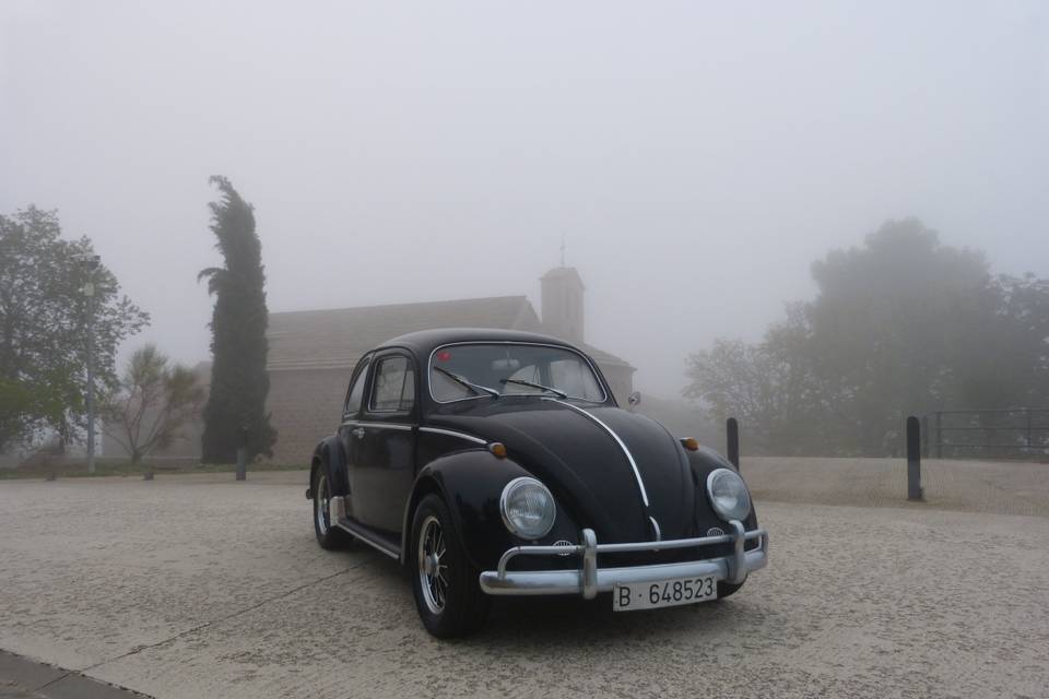 Classic Car Trip