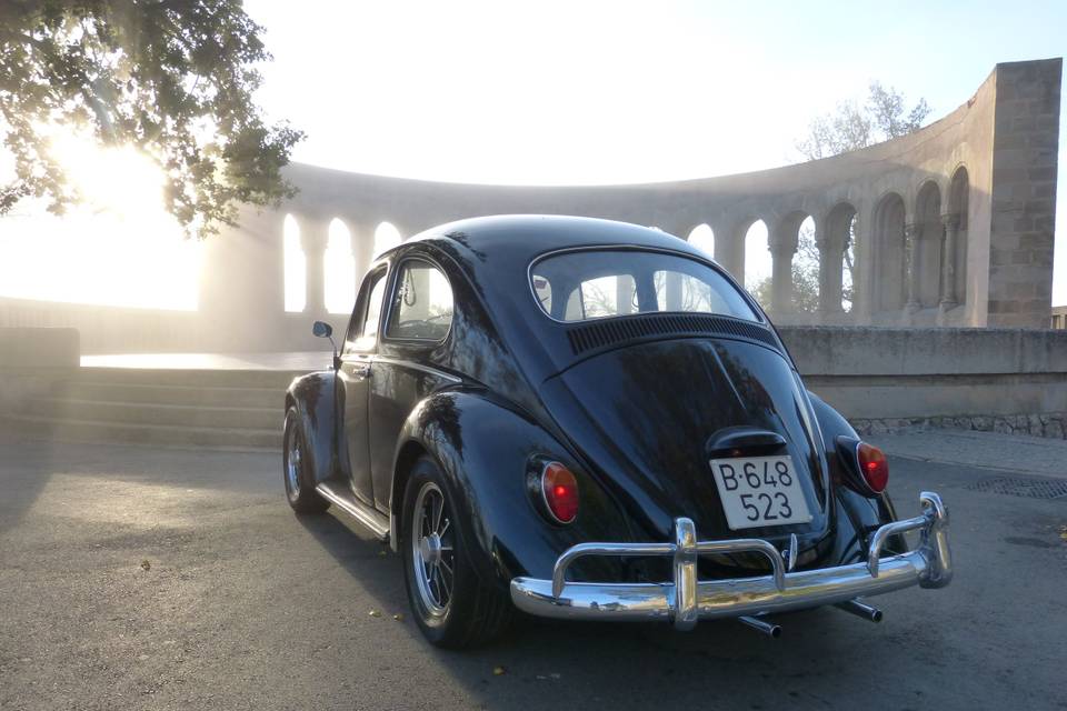 Classic Car Trip