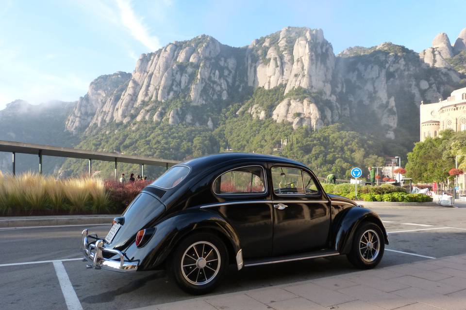 Classic Car Trip