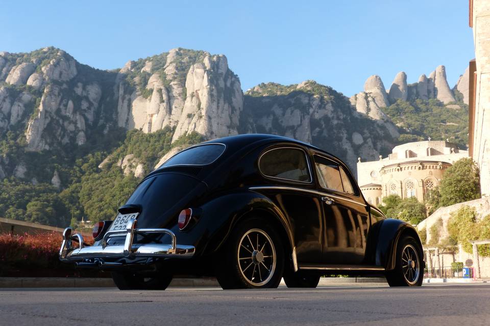 Classic Car Trip