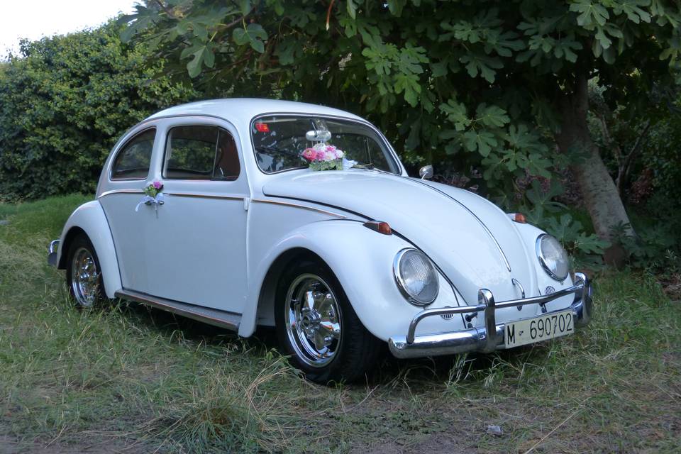 Classic Car Trip