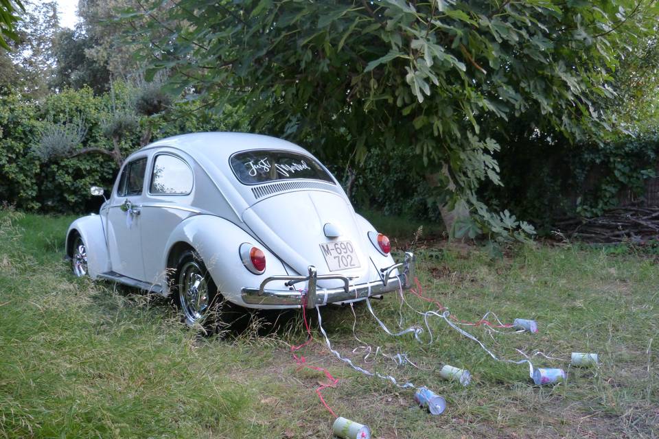 Classic Car Trip