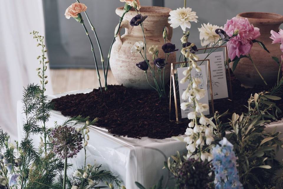 By danielsantallaestudio