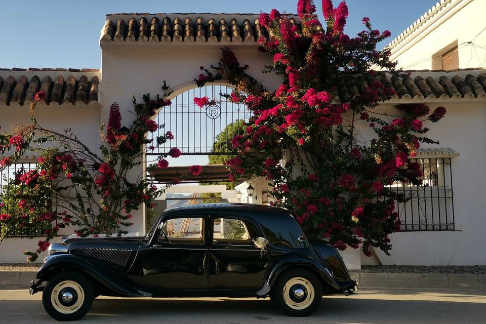 Citroen Traction Avant