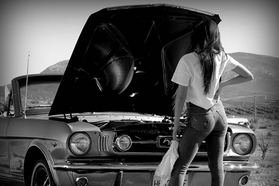 Modelaje con Mustang