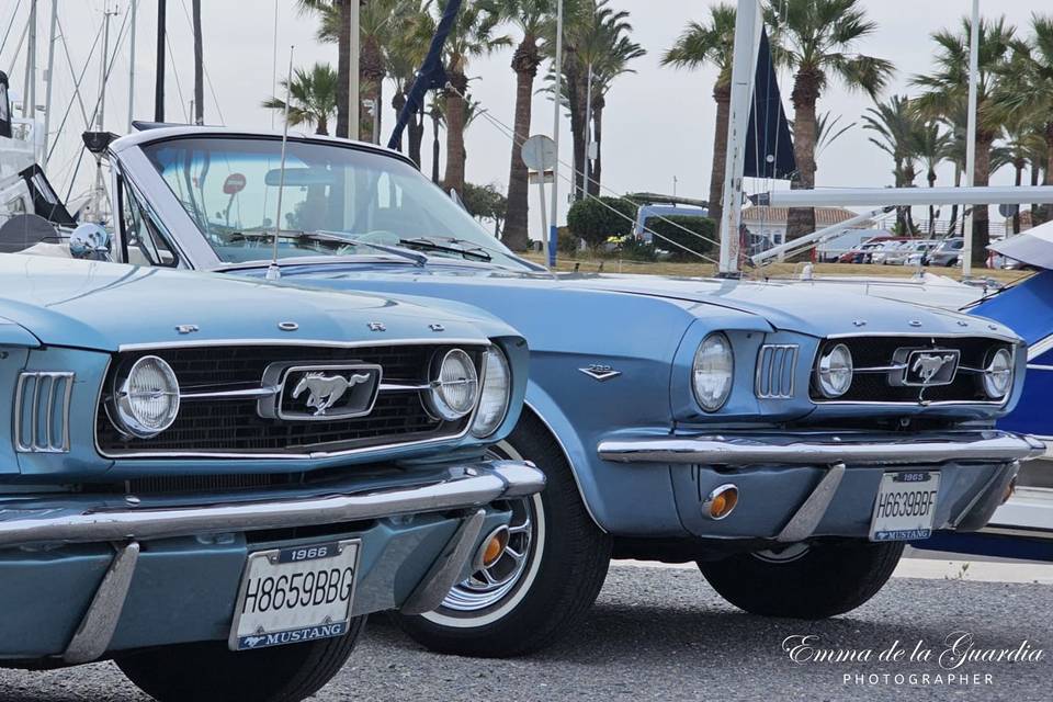 Mustangs exclusivos en Málaga