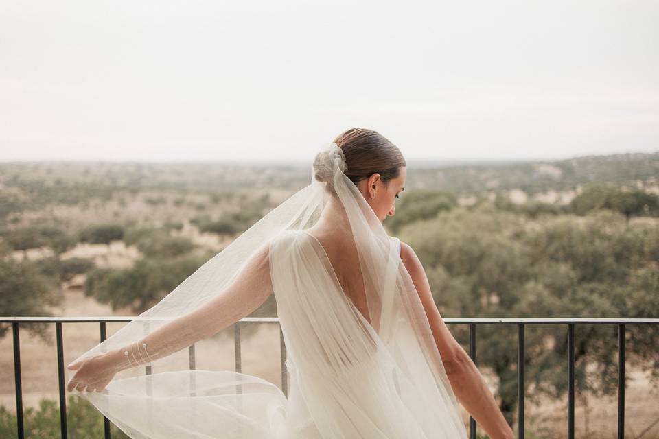 Ana mancha