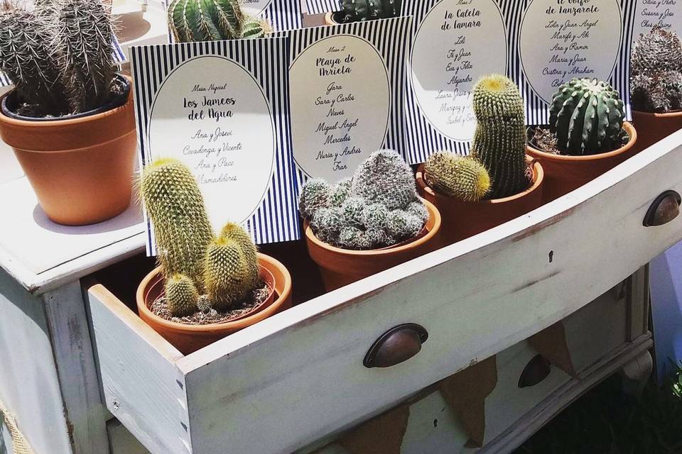 Seating plan con cactus