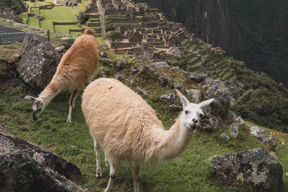 Perú