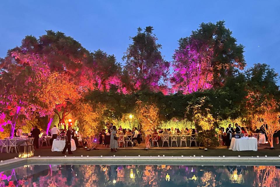 Boda de verano