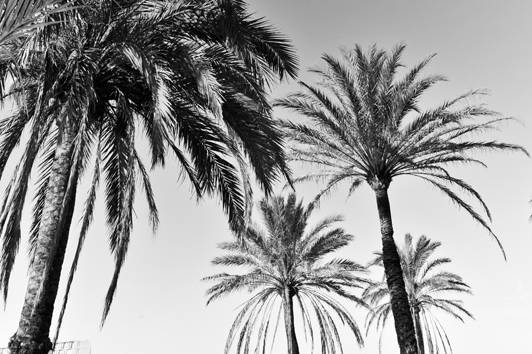 Fabio Lardera Photography ©