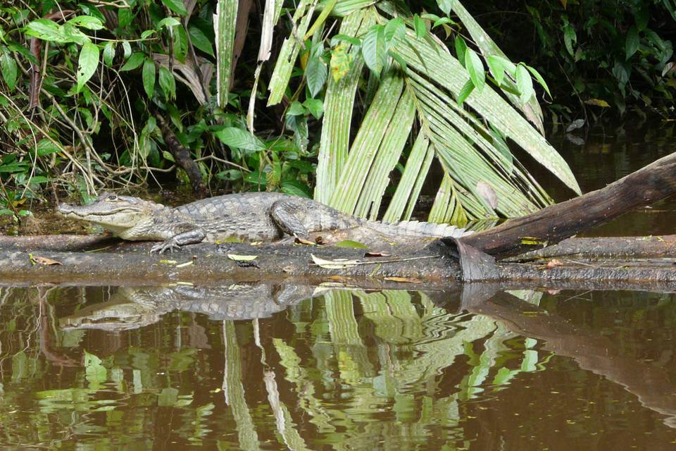 Costa Rica