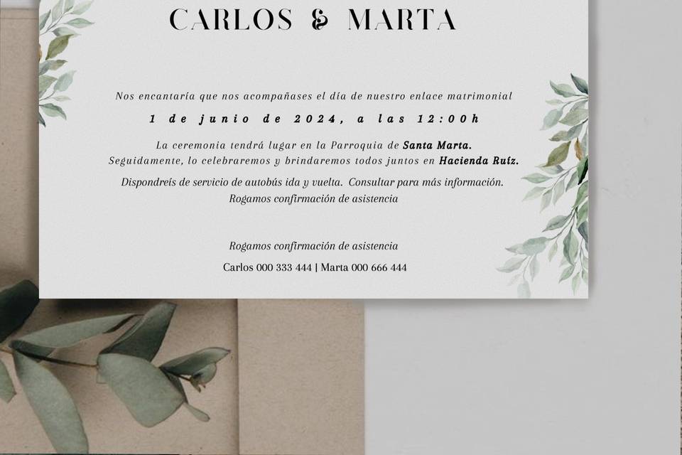 Diseño Brisa