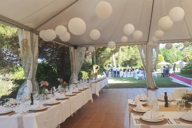 Decoración carpas