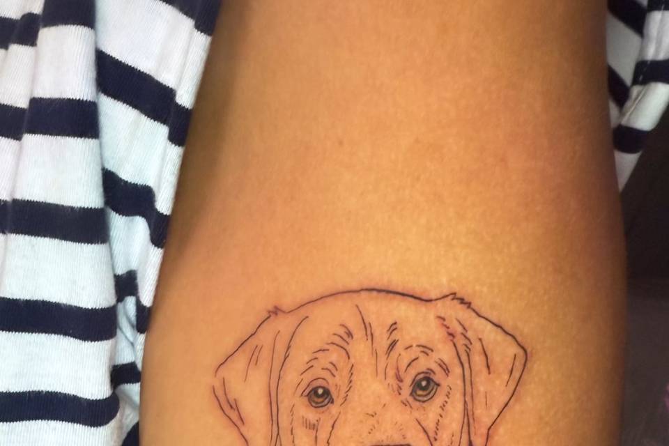 Finos