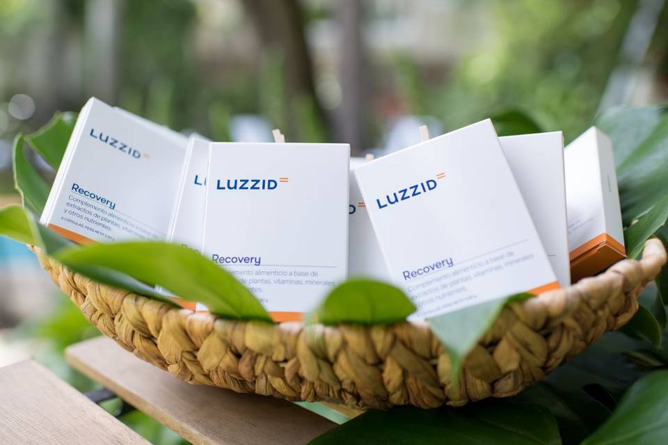 Luzzid Recovery