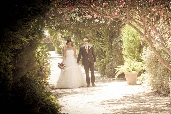 Boda Prix Fotógrafos