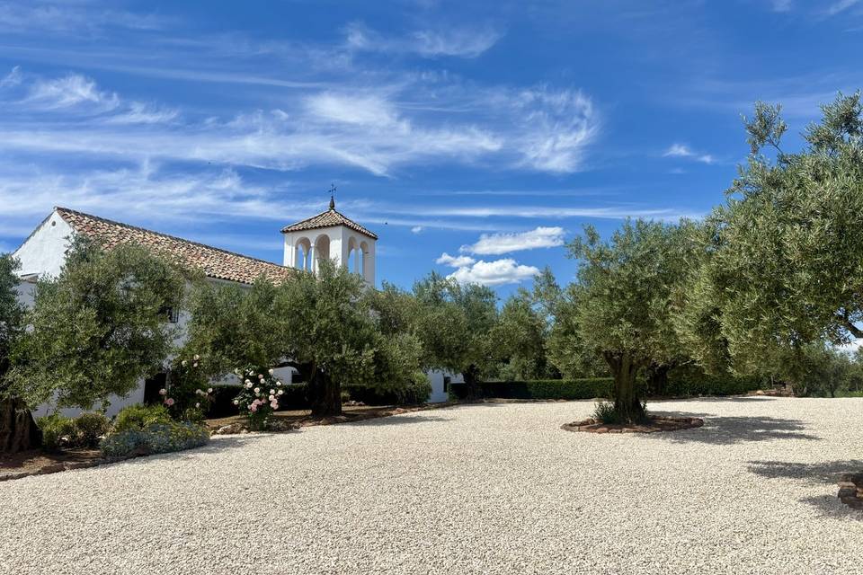 Olivar Exterior