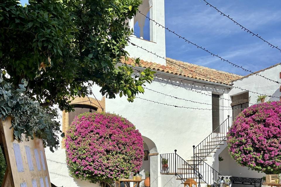 Cóctel al aire libre