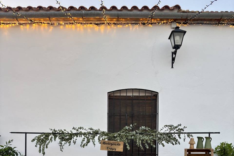 Bodegón de quesos