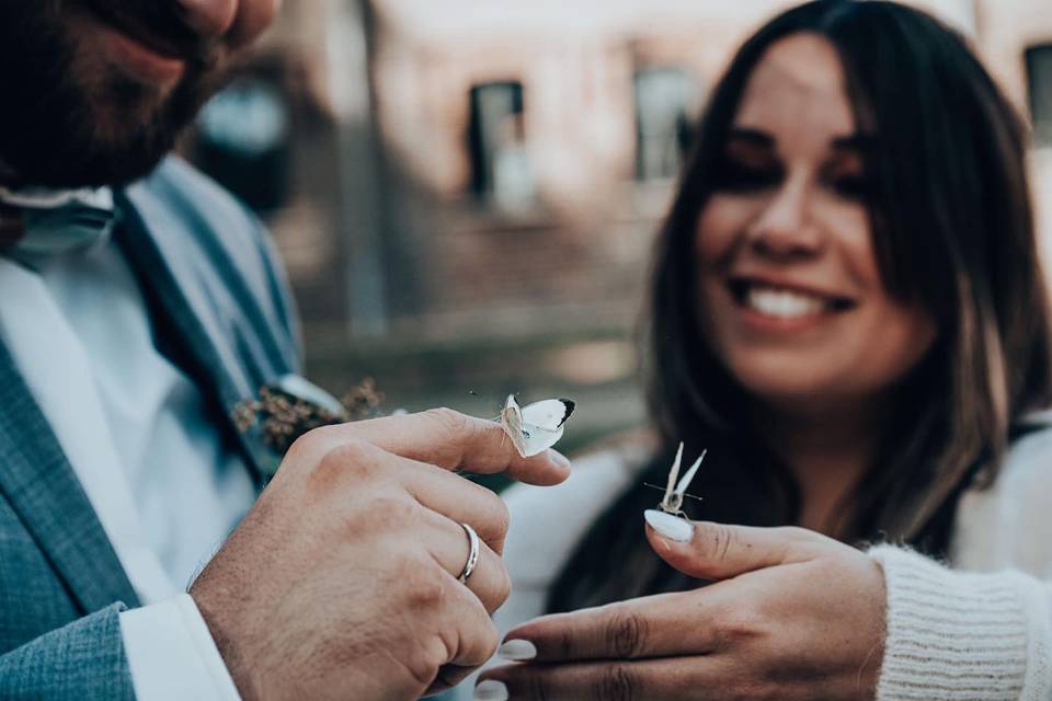 Mariposas para bodas