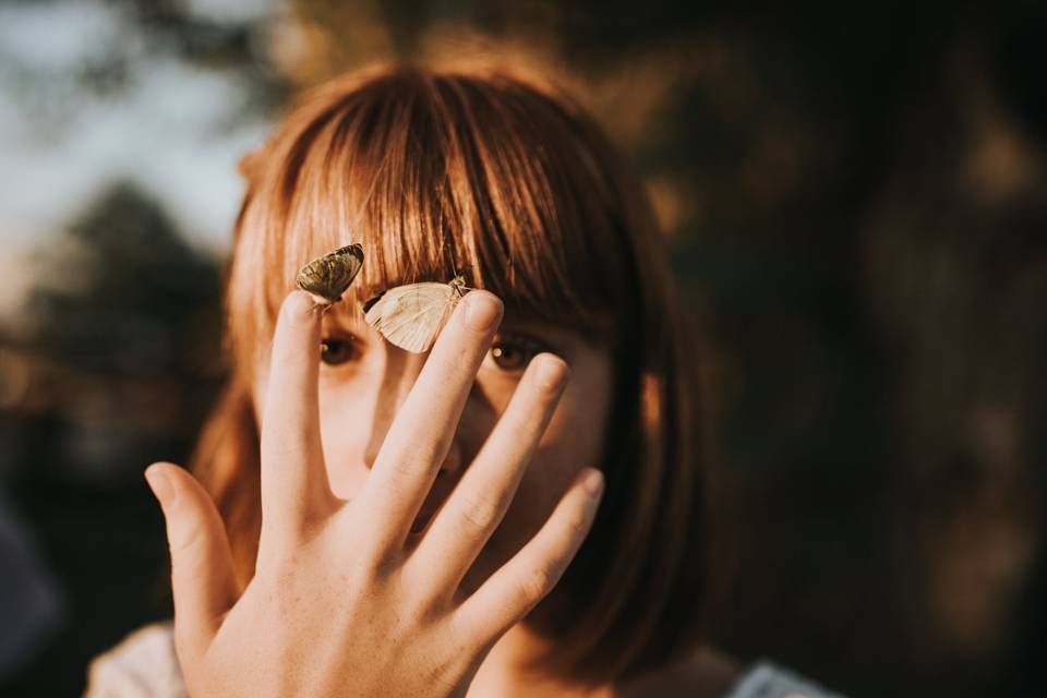 Mariposas en tu boda