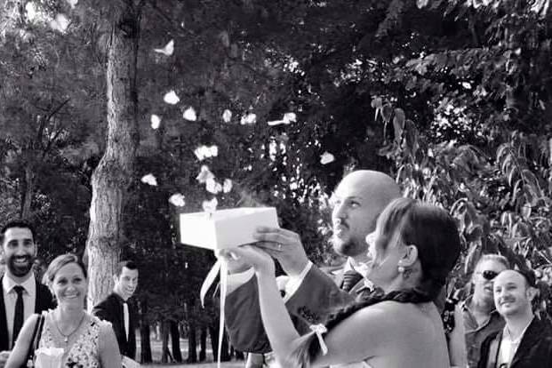 Caja de mariposas de boda