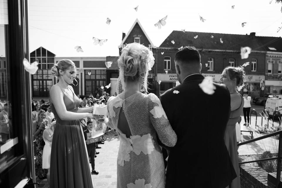 Mariposas en boda